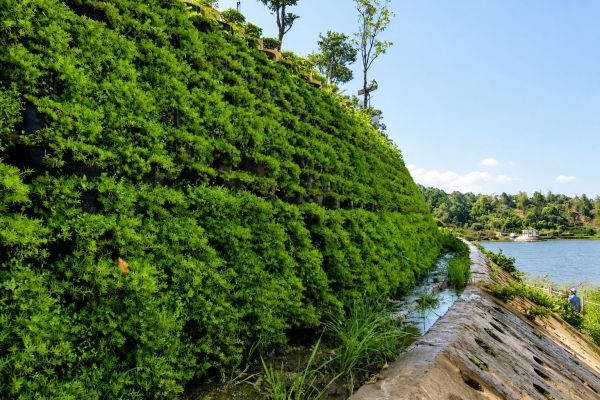 DỰ ÁN NEOWEB CHỐNG SẠT LỞ KHU LÂM VIÊN BIỂN HỒ